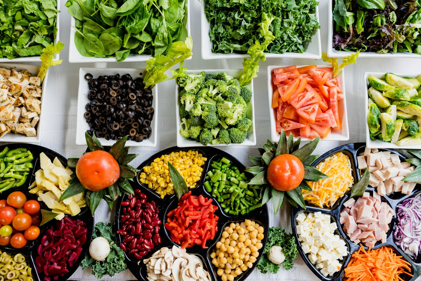 The Science Behind a Balanced Lifestyle